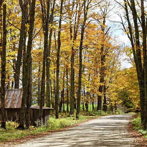 Vermont Foliage Bike Camp